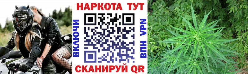 Где купить Могоча Cocaine  Гашиш  Марихуана 
