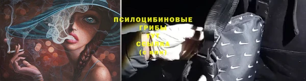 jwh Алзамай