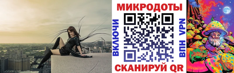 ОМГ ОМГ как войти  Могоча  Псилоцибиновые грибы Cubensis 