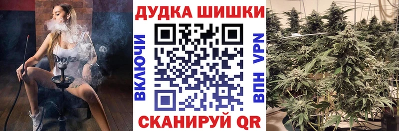 дарнет шоп Могоча Каннабис семена